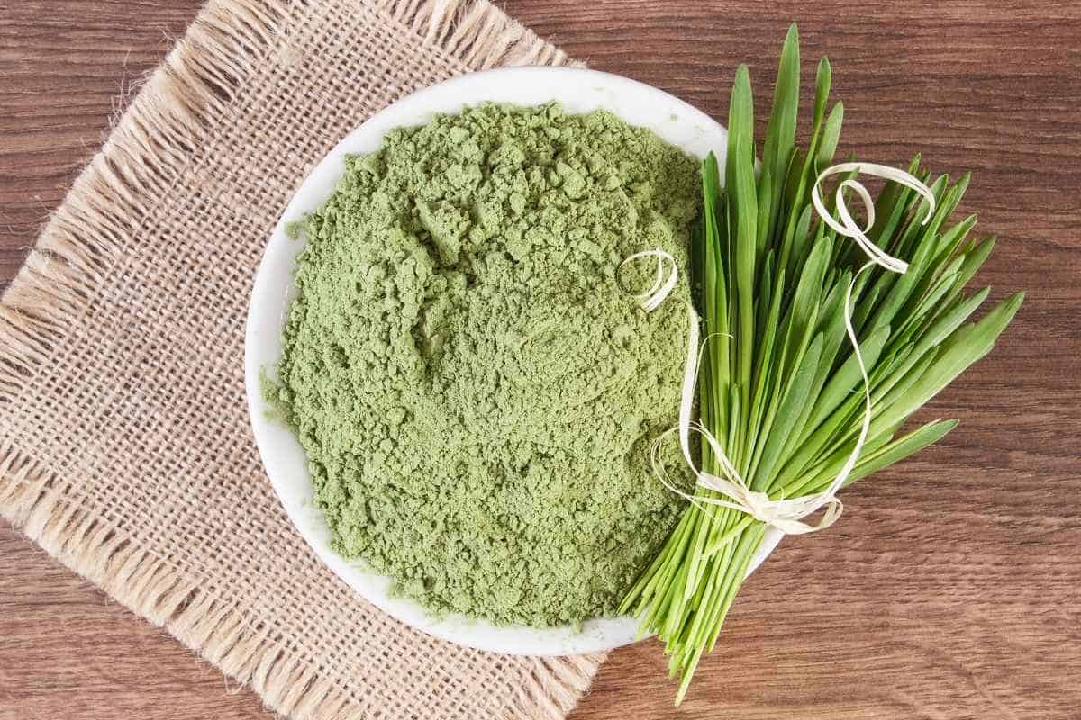 Barley grass and heap of young powder barley in bowl, body detox concept