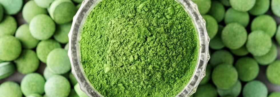 A Barley Grass Supplement