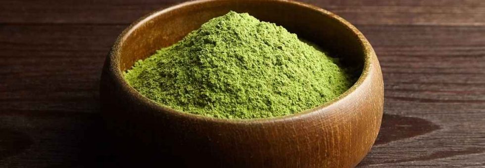 Wheatgrass or barley grass powder in wooden bowl on dark background.